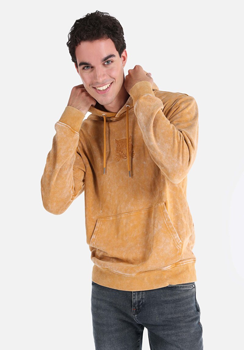 Imagine a Hanorac Sari Pentru Bărbați Regular Fit