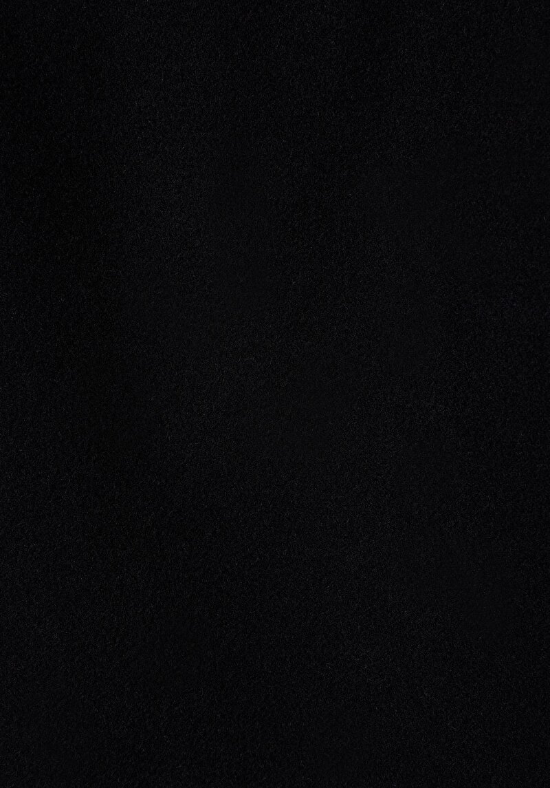 Afișați detalii pentru Palton Negru Pentru Bărbați Regular Fit