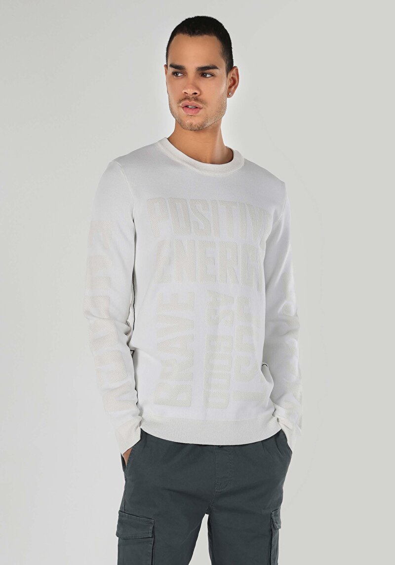 Imagine a Pulover Alb Pentru Bărbați Regular Fit Round Neck Jacquard