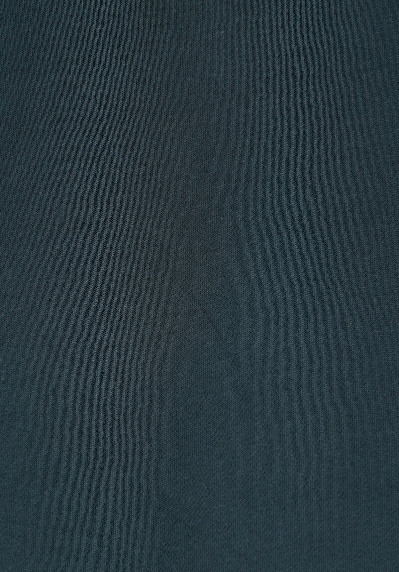 Afișați detalii pentru Hanorac / Bluza De Barbati Verde Regular Fit  Cl1071263