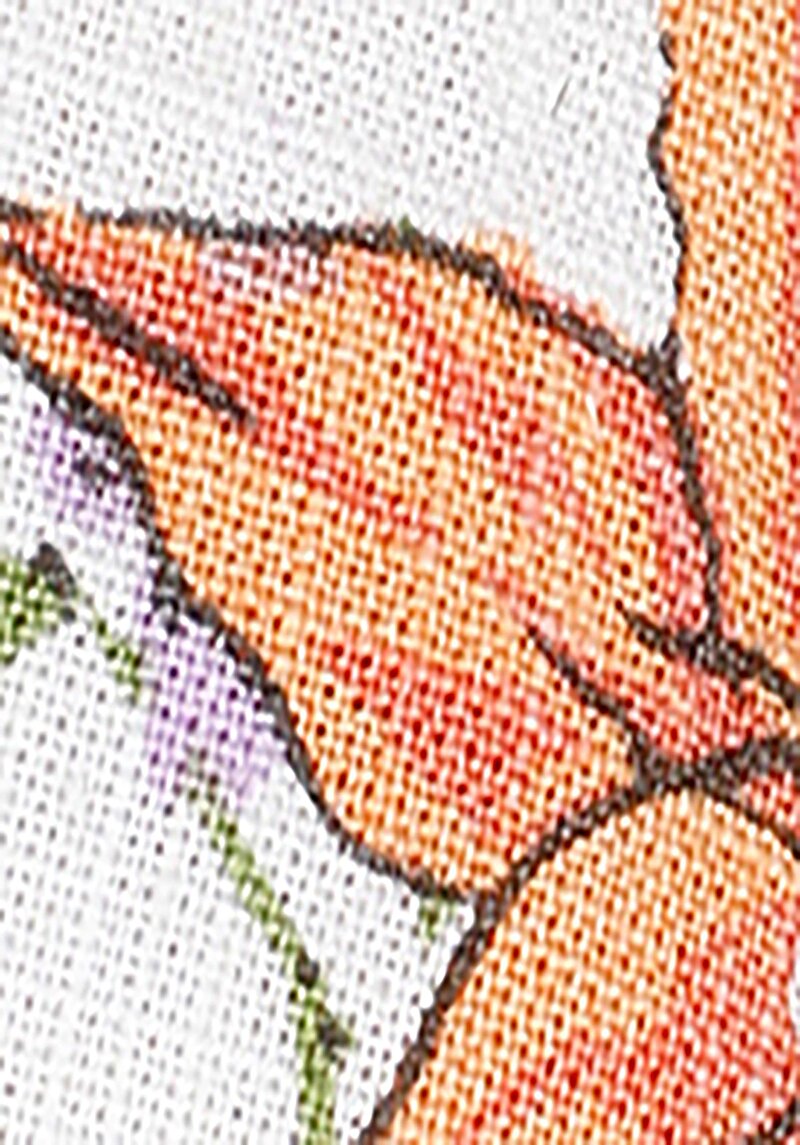 Afișați detalii pentru Rochie Multicoloră Pentru Femei Regular Fit