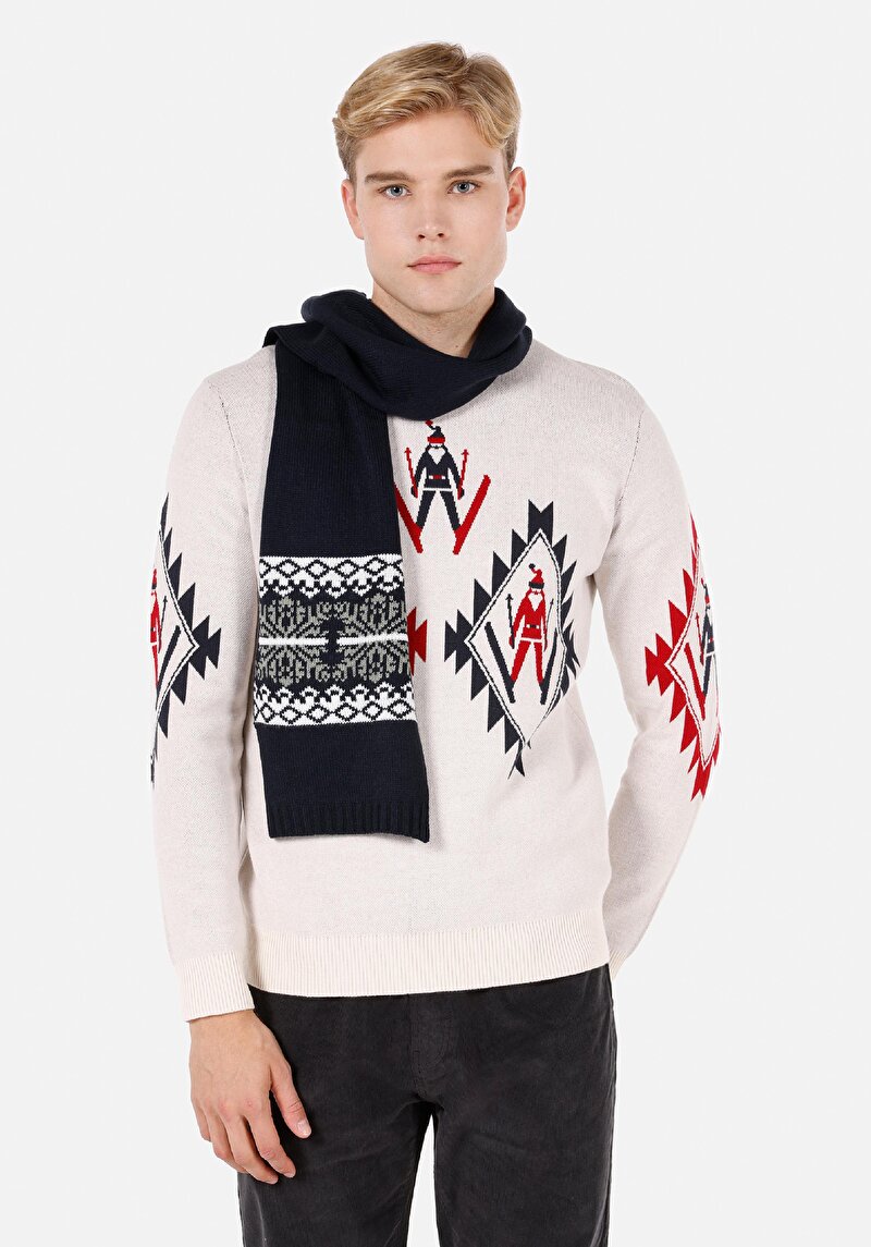 Imagine a Pulover De Barbati Ecru Regular Fit  Cl1071758