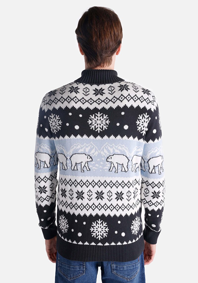 Afișați detalii pentru Pulover Regular Fit Turtle Neck Jacquard Bleumarin Pentru Bărbați