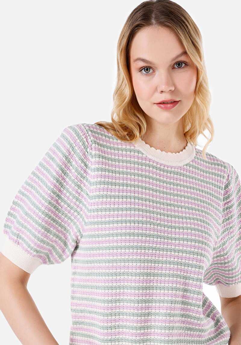 Afișați detalii pentru Regular Fit Round Neck Pulover Multicolor Cu Mânecă Scurtă Pentru Femei