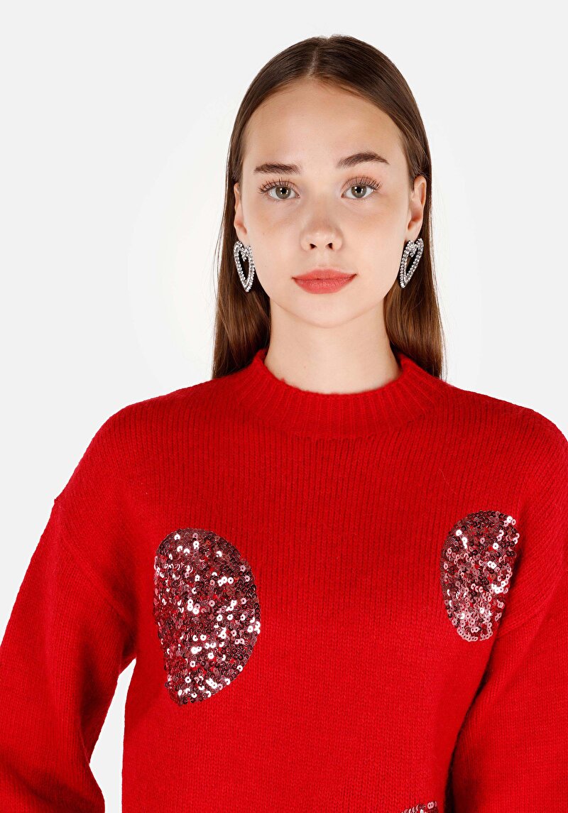 Imagine a Regular Fit Round Neck Brodat Pulover Roșu Pentru Femei