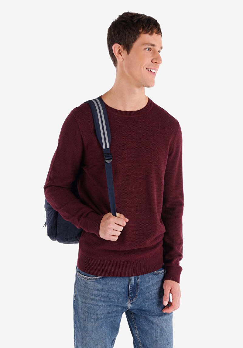 Imagine a Pulover De Barbati Mov Regular Fit  Cl1046786