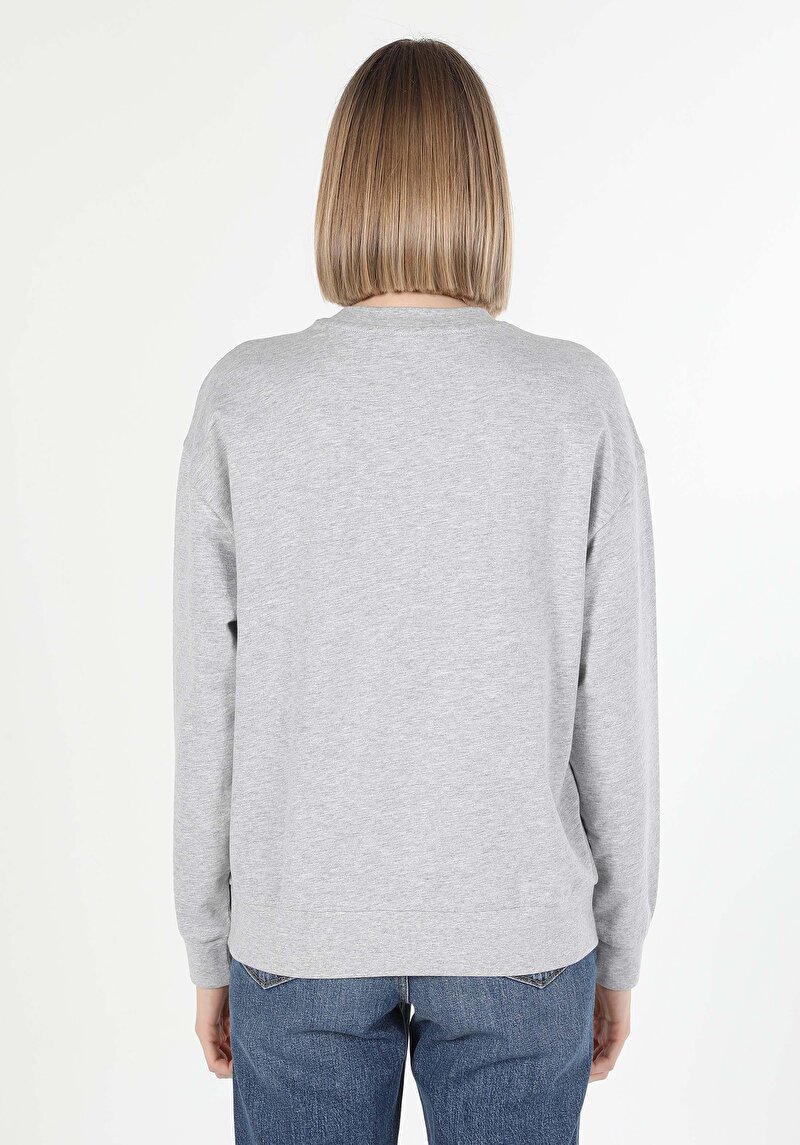 Afișați detalii pentru Hanorac / Bluza De Dama Gri Regular Fit  Cl1060311