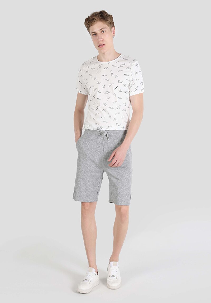 Afișați detalii pentru Short / Pantaloni Scurti De Barbati Gri Regular Fit  Cl1064564