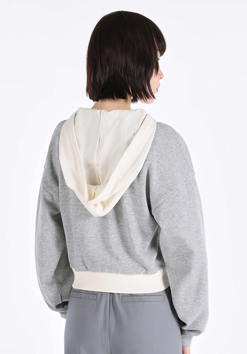 Afișați detalii pentru Hanorac / Bluza De Dama Gri Regular Fit  Cl1065085