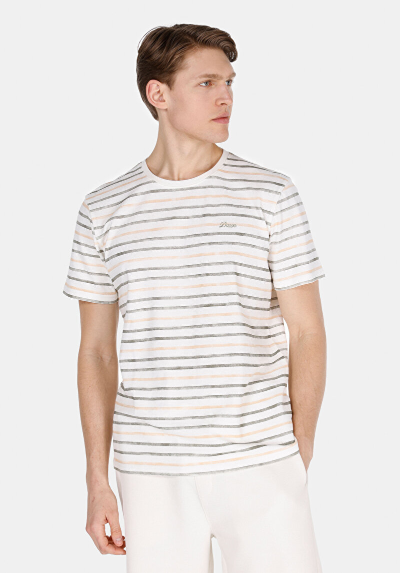 Imagine a Regular Fit Round Neck Striped Bărbați Alb Tricou Cu Mânecă Scurtă