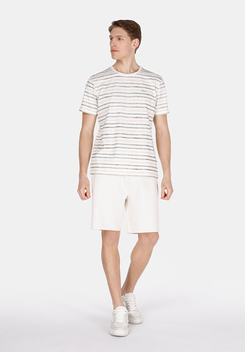 Imagine a Regular Fit Round Neck Striped Bărbați Alb Tricou Cu Mânecă Scurtă