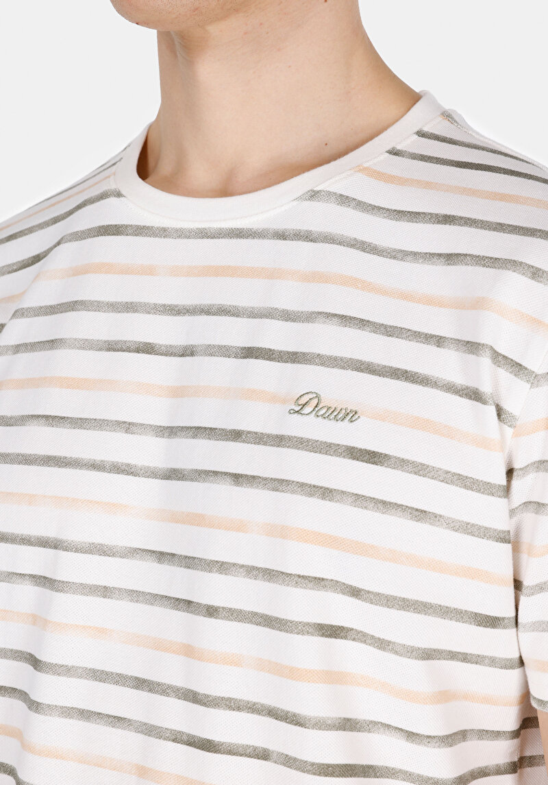 Imagine a Regular Fit Round Neck Striped Bărbați Alb Tricou Cu Mânecă Scurtă