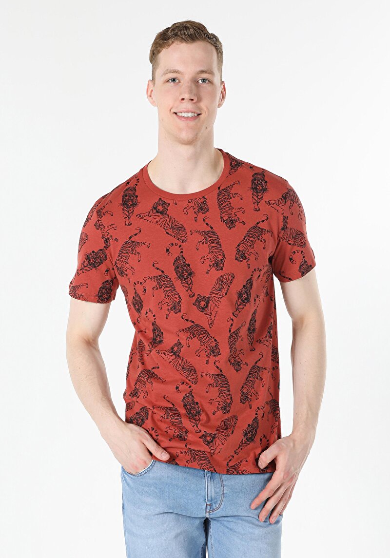 Afișați detalii pentru Tricou Cu Maneca Scurta De Barbati Maro Regular Fit  Cl1058836