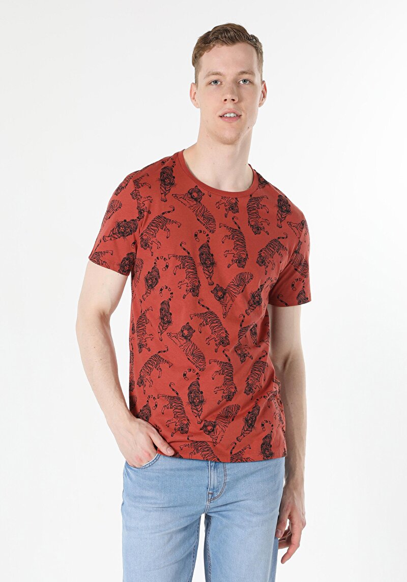 Afișați detalii pentru Tricou Cu Maneca Scurta De Barbati Maro Regular Fit  Cl1058836