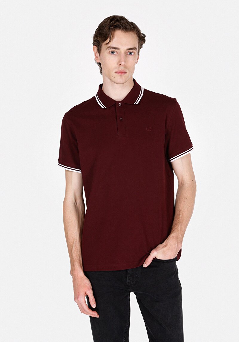 Imagine a Tricou Polo Cu Maneca Scurta De Barbati Mov Regular Fit Cl1074313