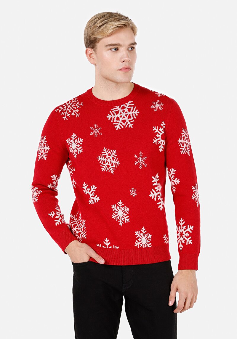 Imagine a Pulover De Barbati Roşu Regular Fit Cl1071759