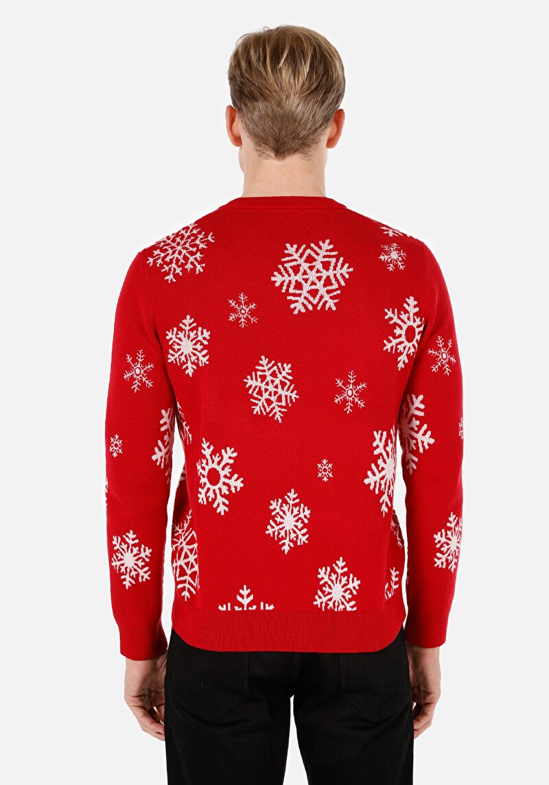 Imagine a Pulover De Barbati Roşu Regular Fit Cl1071759