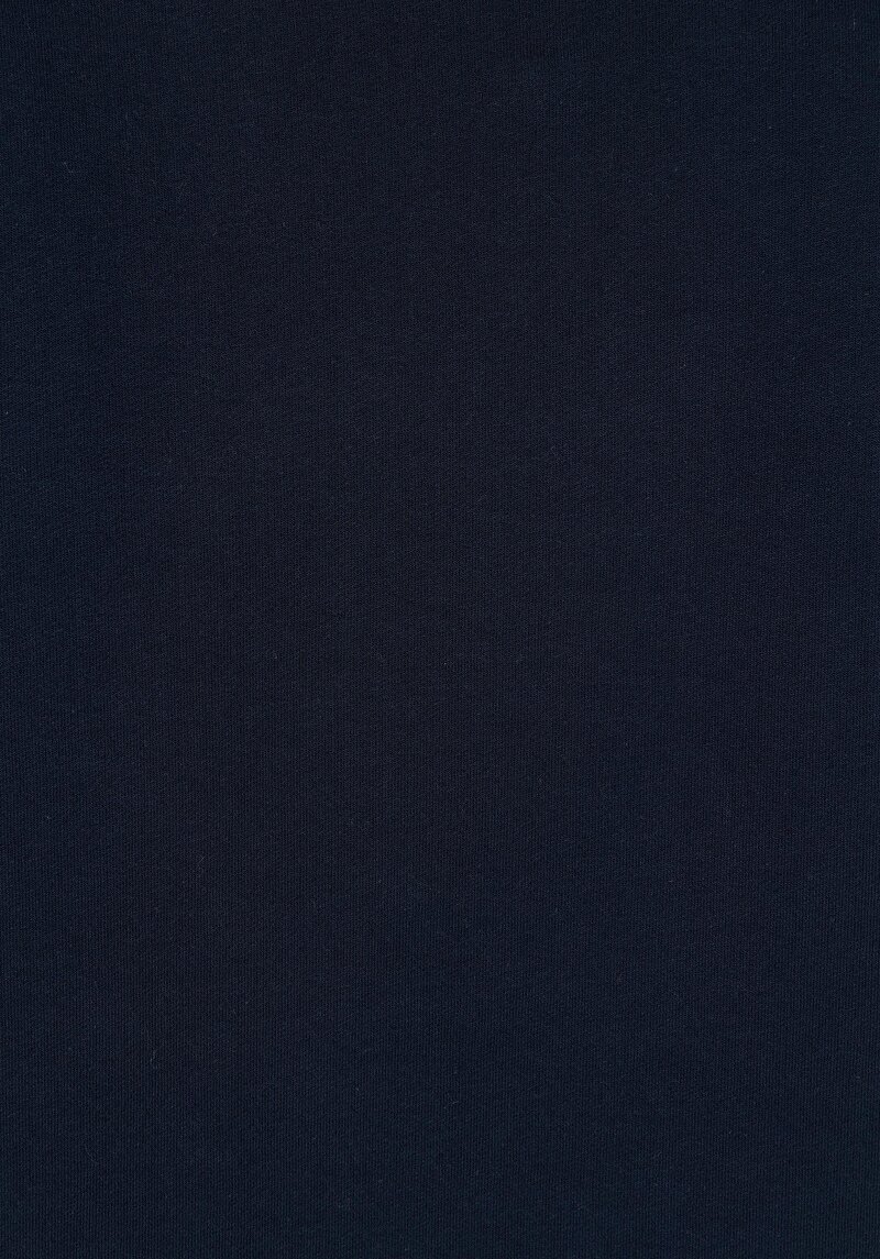 Afișați detalii pentru Hanorac / Bluza De Barbati Albastru Marin Regular Fit  Cl1071776