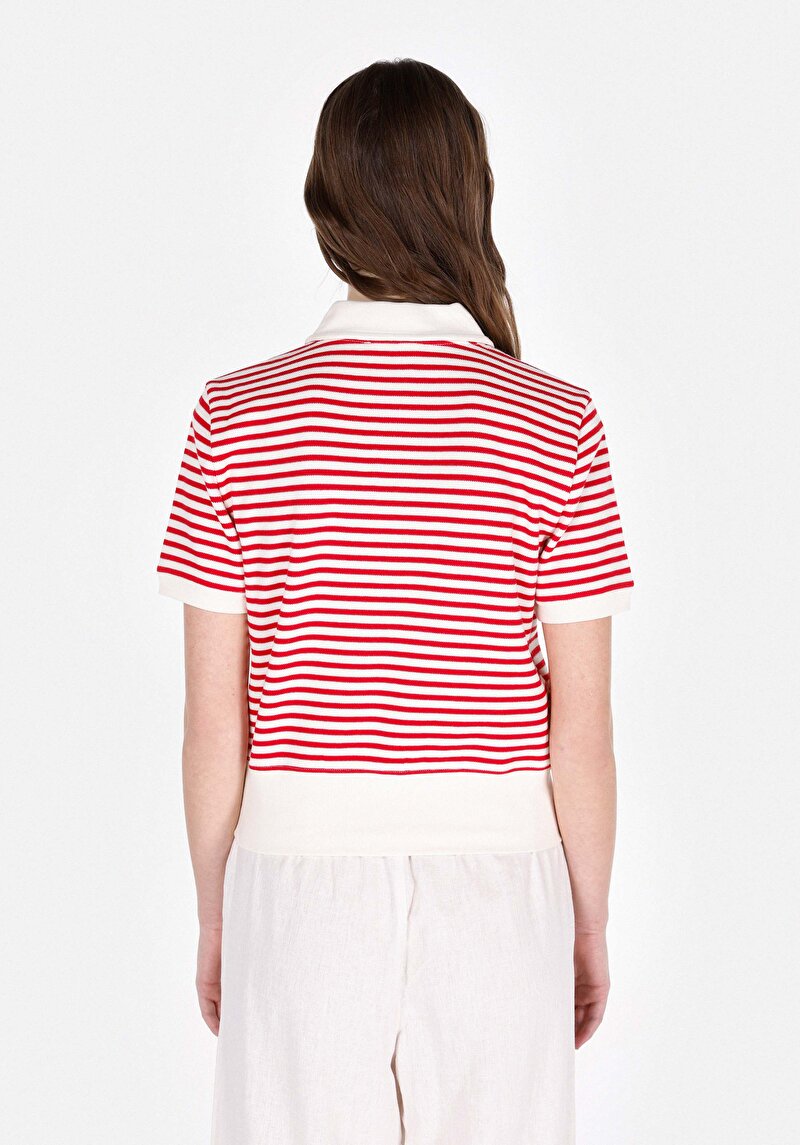 Afișați detalii pentru Regular Fit Polo Collar Striped Tricou Roșu Cu Mânecă Scurtă Pentru Femei
