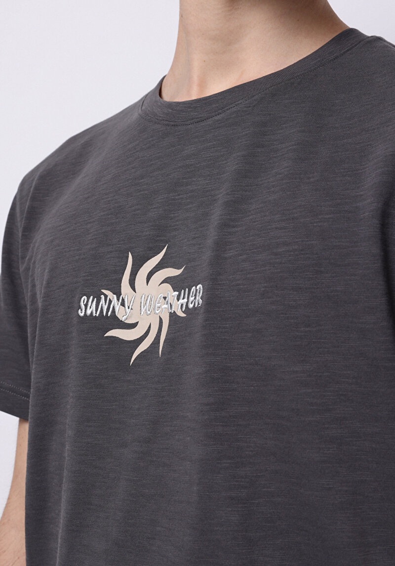 Imagine a Tricou Cu Maneca Scurta De Barbati  Regular Fit  Cl1074205