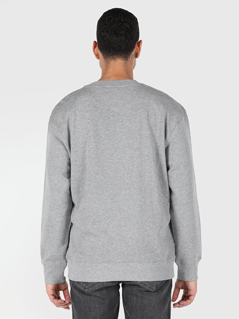 Imagine a Hanorac / Bluza De Barbati Gri Comfort Fit Cl1062532