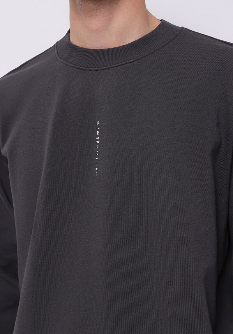 Afișați detalii pentru Hanorac / Bluza De Barbati Antracit Comfort Fit  Cl1075712