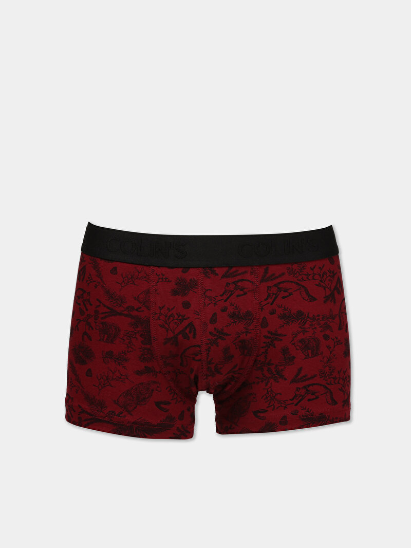 Imagine a Lenjerie Intima De Barbati  Modern Fit  Cl1075775