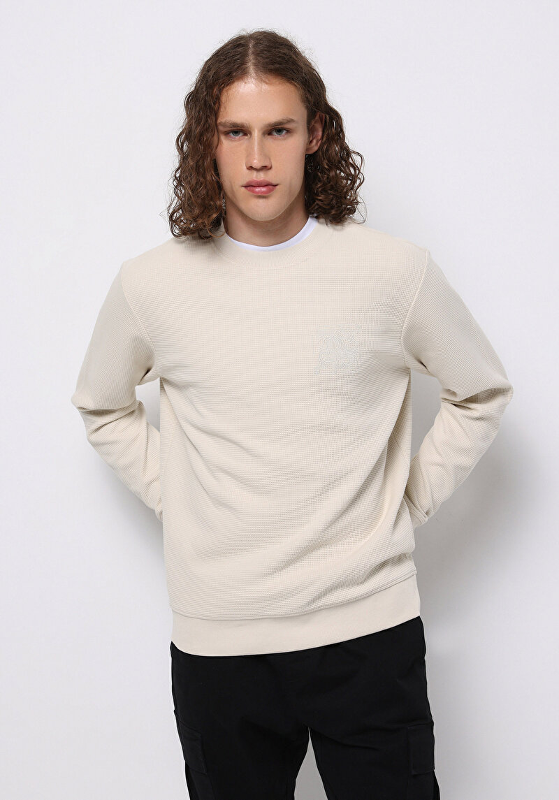 Imagine a Hanorac / Bluza De Barbati Bej Regular Fit Cl1075351