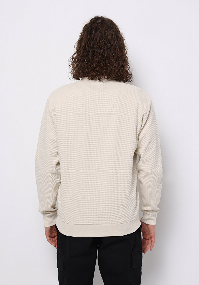 Imagine a Hanorac / Bluza De Barbati Bej Regular Fit Cl1075351