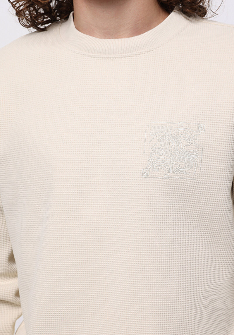 Imagine a Hanorac / Bluza De Barbati Bej Regular Fit Cl1075351