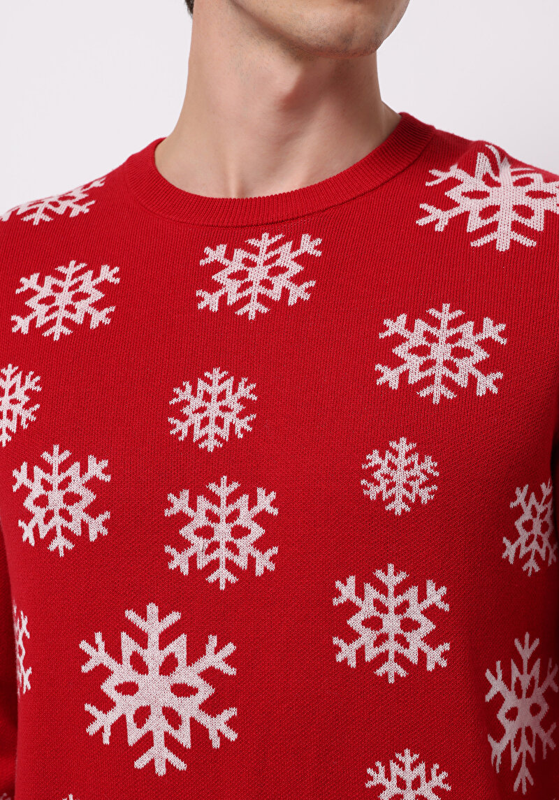 Imagine a Pulover De Barbati Roşu Regular Fit Cl1077445