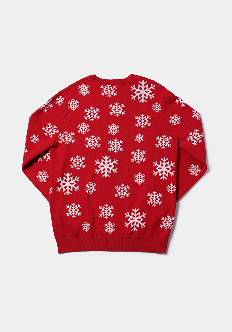 Afișați detalii pentru Pulover De Barbati Roşu Regular Fit  Cl1077445