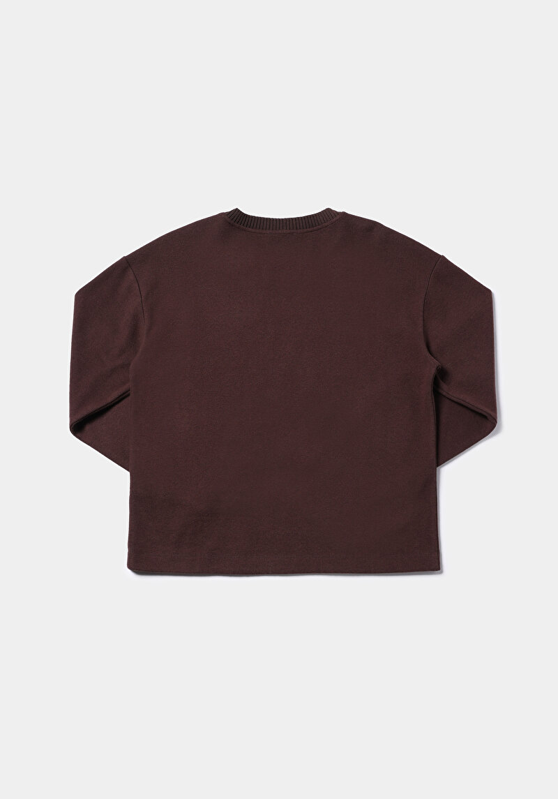 Afișați detalii pentru Pulover De Dama Maro Regular Fit  Cl1076694