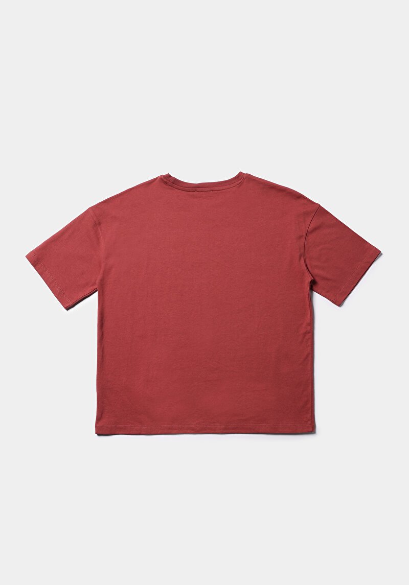 Afișați detalii pentru Tricou Cu Maneca Scurta De Dama Roşu Regular Fit  Cl1077681