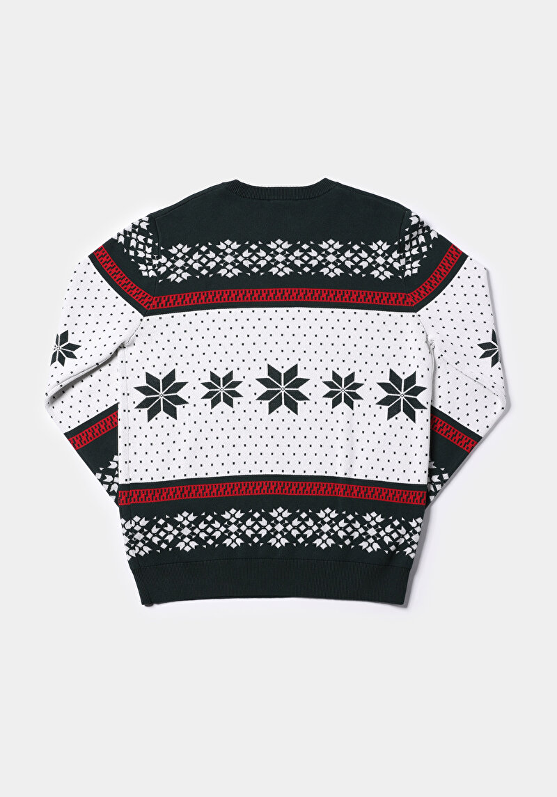 Afișați detalii pentru Pulover De Barbati Verde Regular Fit  Cl1077277