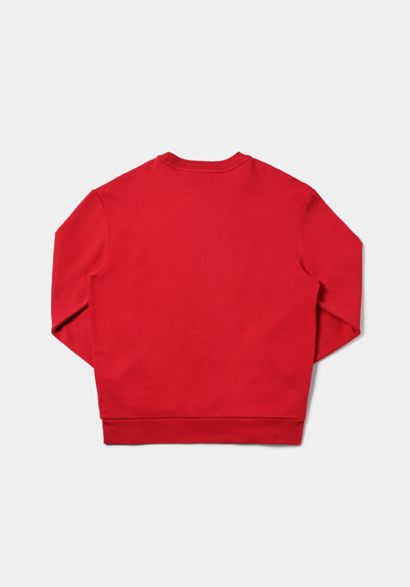 Afișați detalii pentru Hanorac / Bluza De Barbati Roşu Comfort Fit  Cl1077349