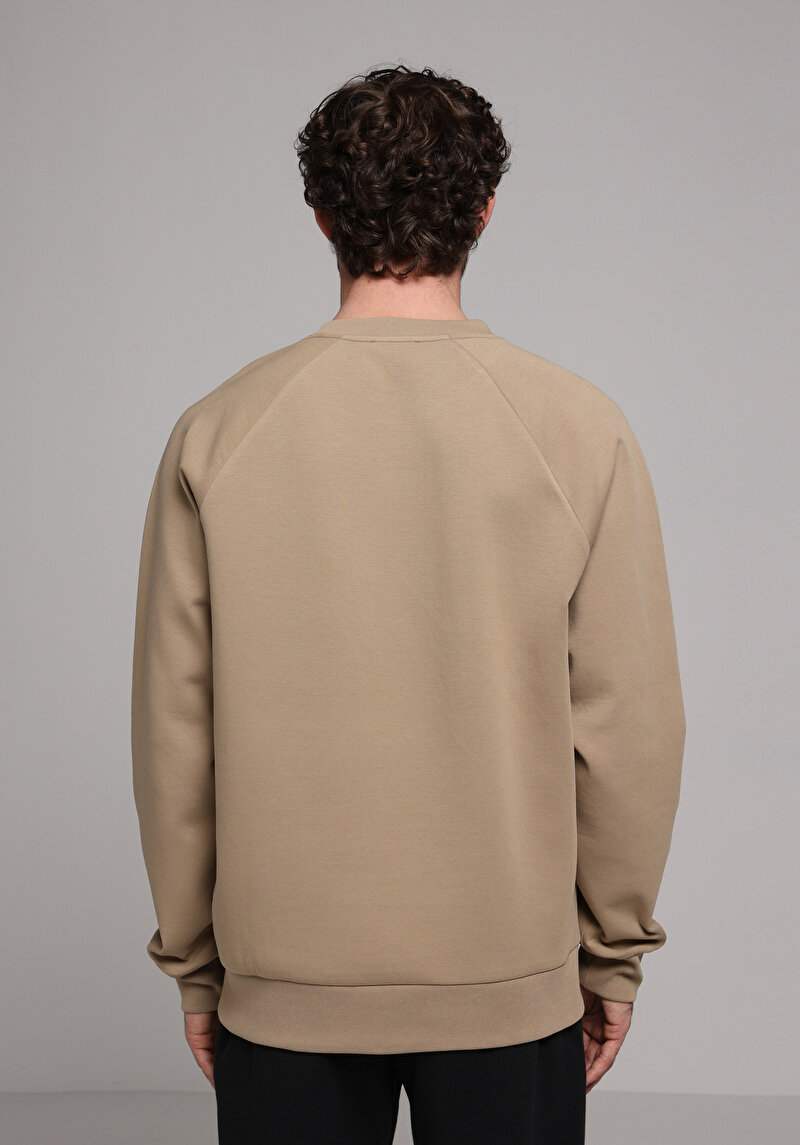 Afișați detalii pentru Hanorac / Bluza De Barbati Bej Regular Fit  Cl1077950