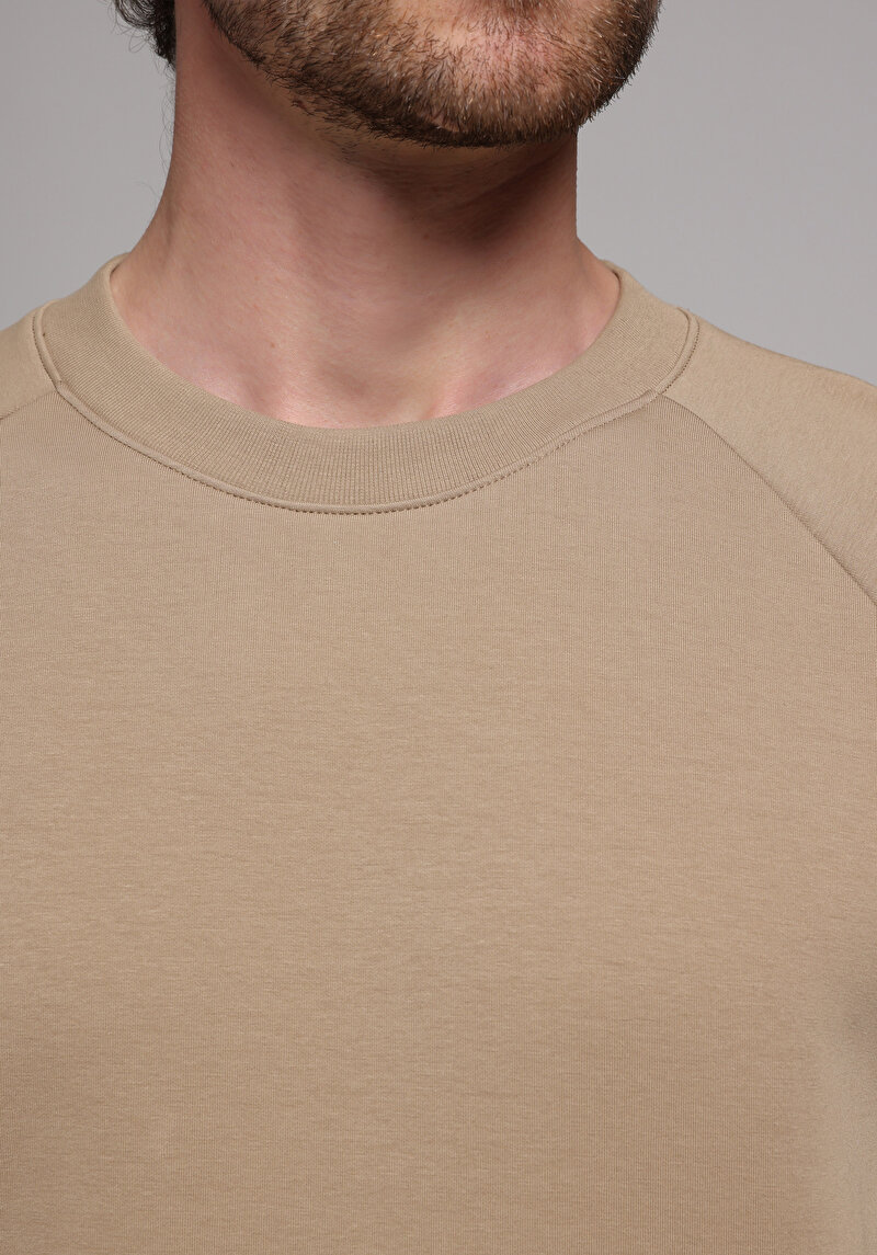 Afișați detalii pentru Hanorac / Bluza De Barbati Bej Regular Fit  Cl1077950