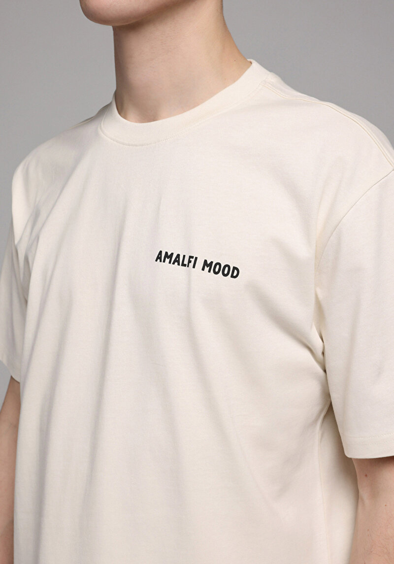 Imagine a Tricou Cu Maneca Scurta De Barbati Bej Comfort Fit Cl1075257