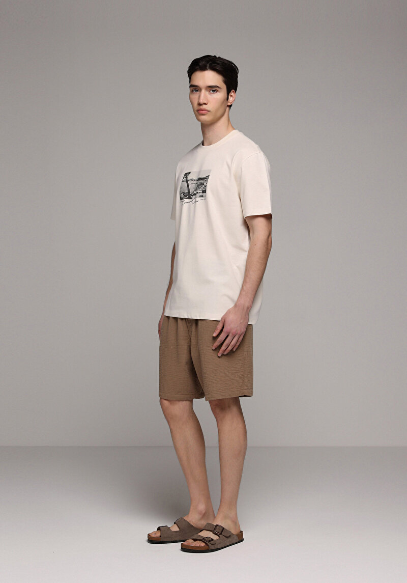 Imagine a Tricou Cu Maneca Scurta De Barbati Bej Regular Fit  Cl1080601