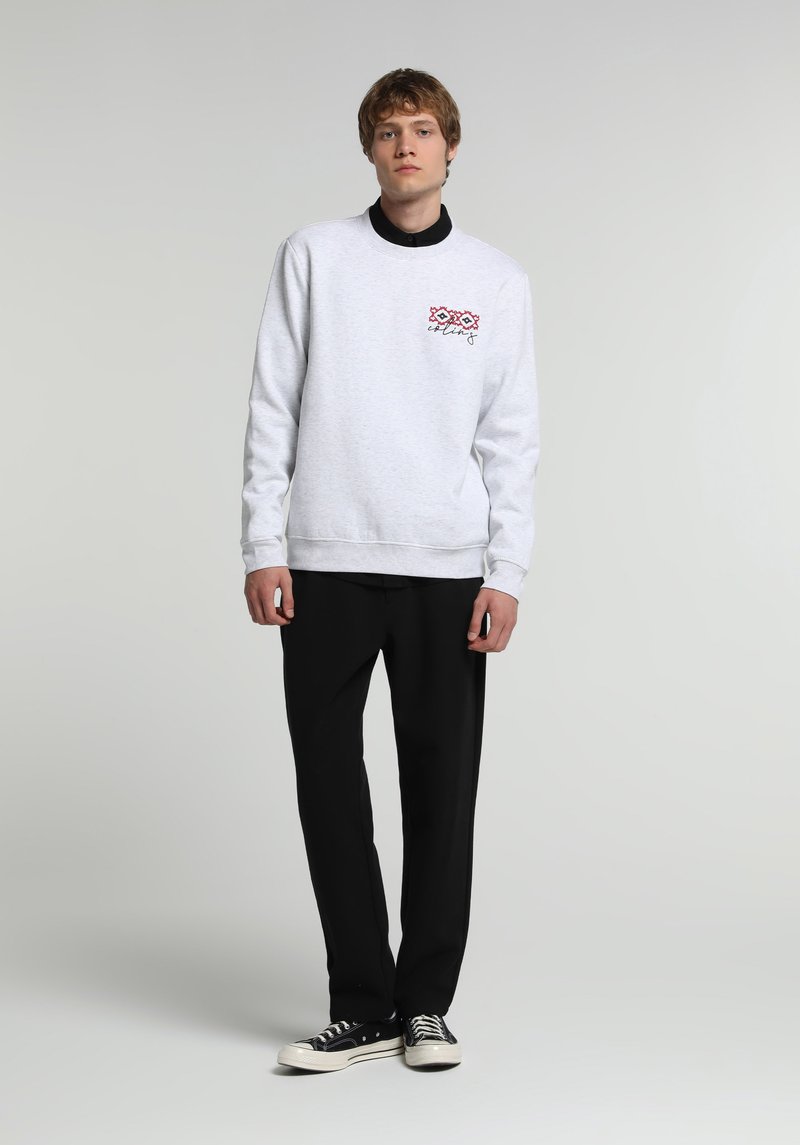 Imagine a Hanorac / Bluza Gri Regular Fit