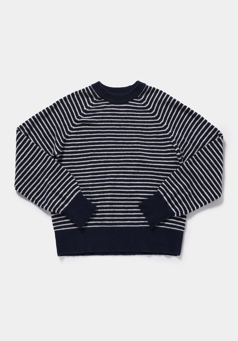 Imagine a Pulover  Albastru Marin Regular Fit