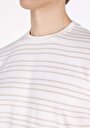thumb-Afișați detalii pentru Regular Fit Round Neck Striped Bărbați Alb Tricou Cu Mânecă Scurtă